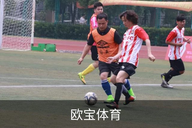 欧宝体育公司简介